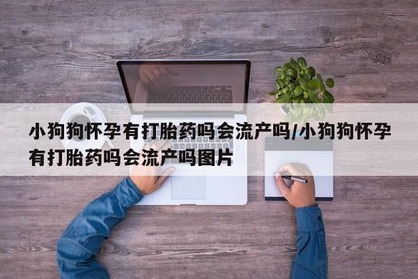 米非米索购买微信小狗狗怀孕有打胎药吗会流产吗/小狗狗怀孕有打胎药吗会流产吗图片
