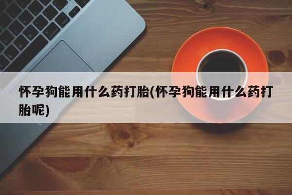 米非米索购买微信怀孕狗能用什么药打胎(怀孕狗能用什么药打胎呢)