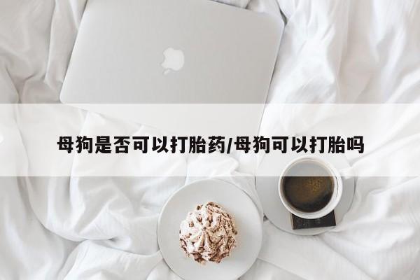米非米索购买微信母狗是否可以打胎药/母狗可以打胎吗